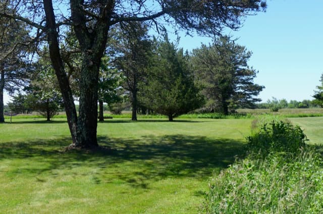 15-alex-way-west-tisbury-ma-02575-39869