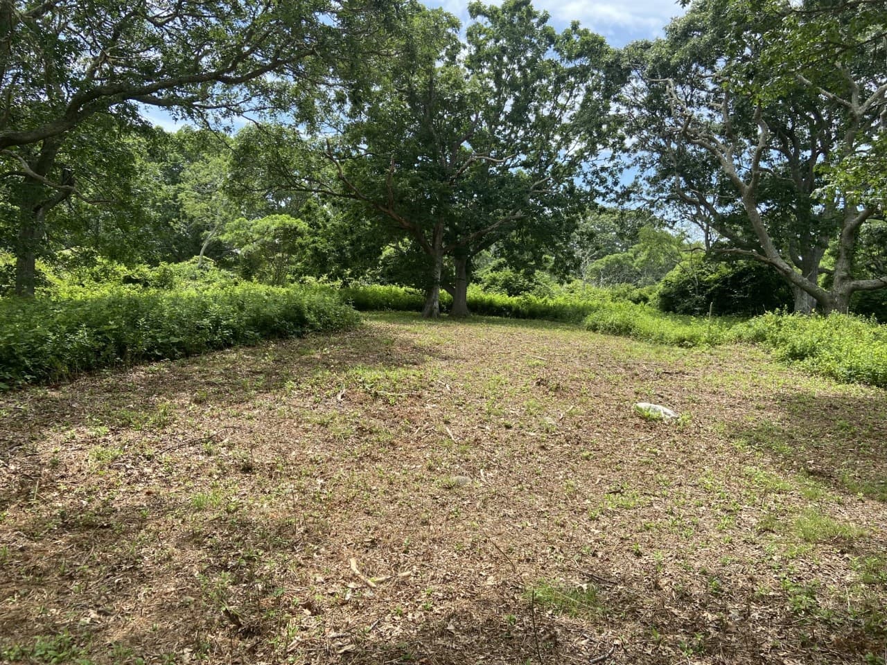 14-ridge-road-aquinnah-ma-02535-39958