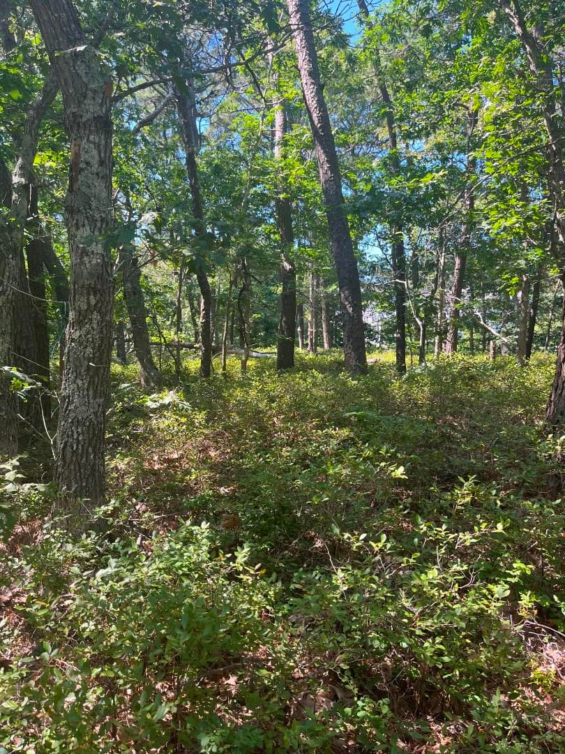 Image 2 - 0 Crowell Lane Lot 9