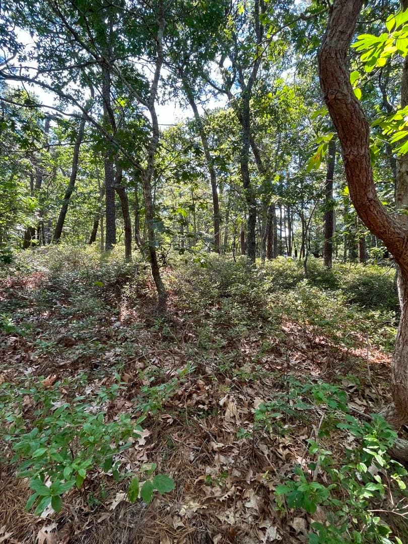 Image 3 - 0 Crowell Lane Lot 9