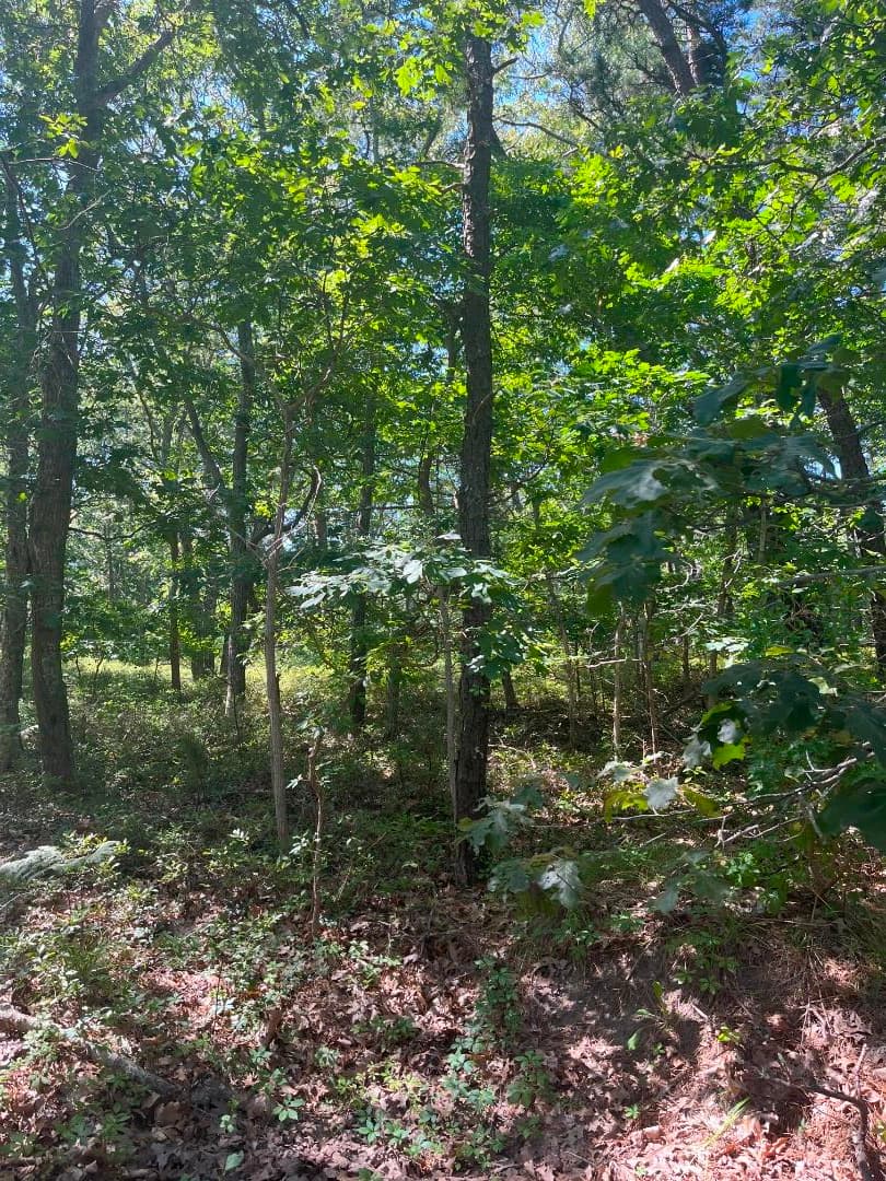 0 Crowell Lane Lot 9