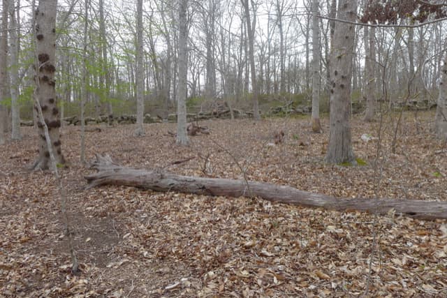 Image 3 - 609 State Road