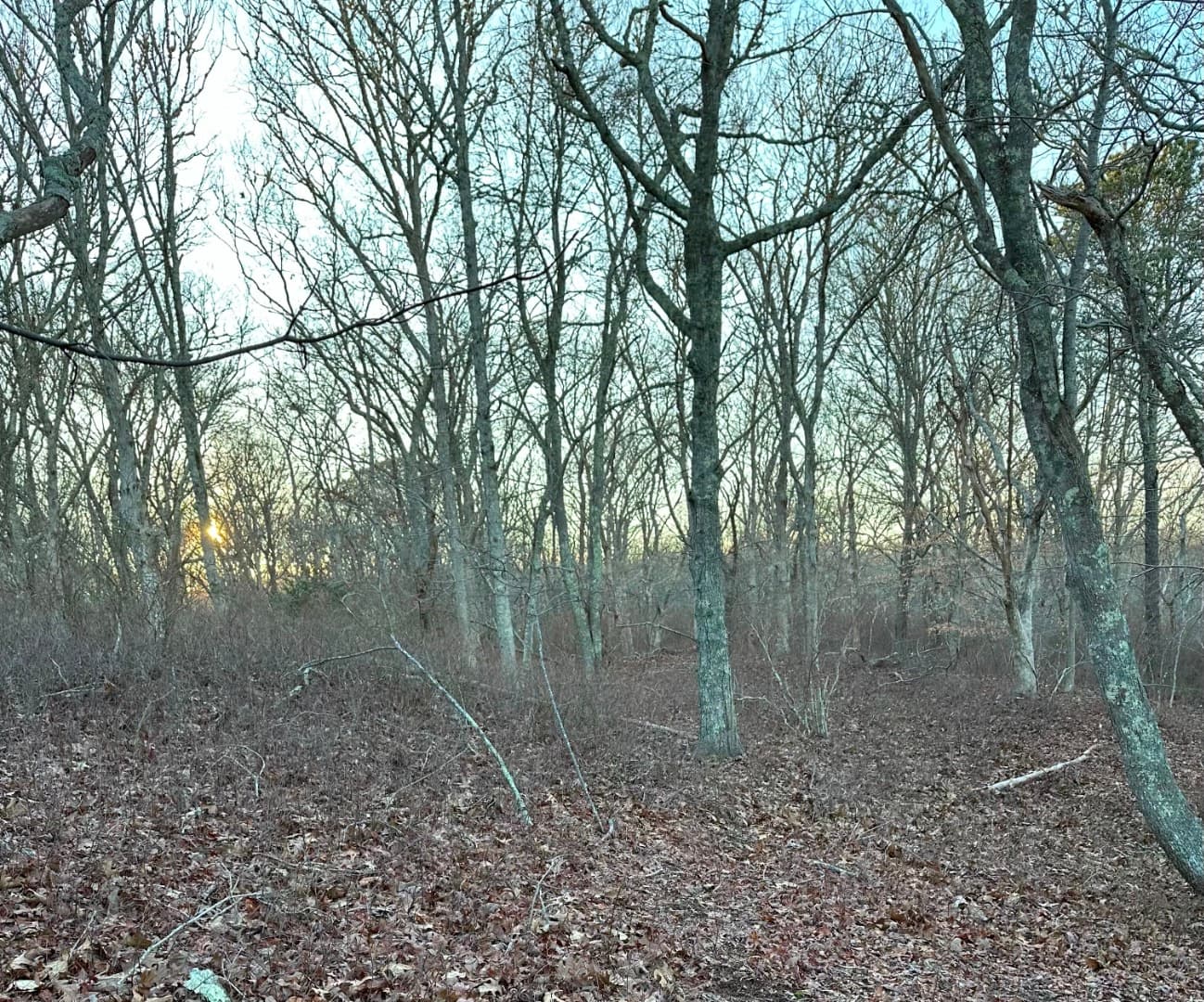 Image 3 - 34 Ebens Lane
