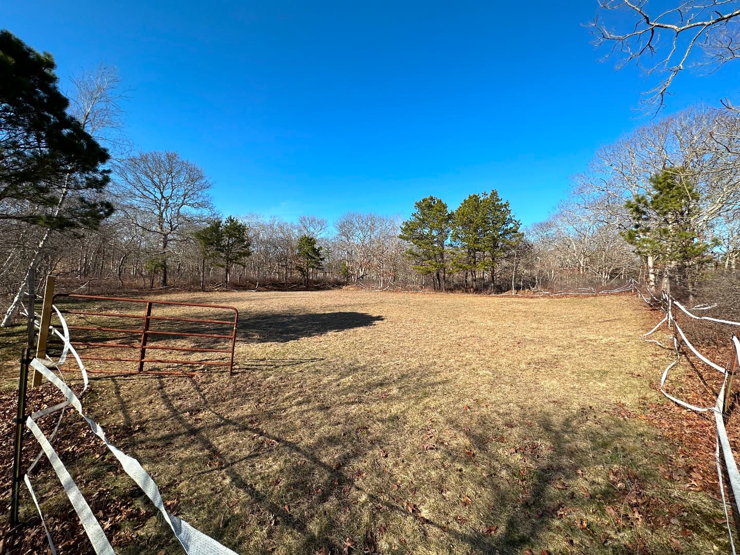 Image 3 - 32,36,&40 Bailey Park Road
