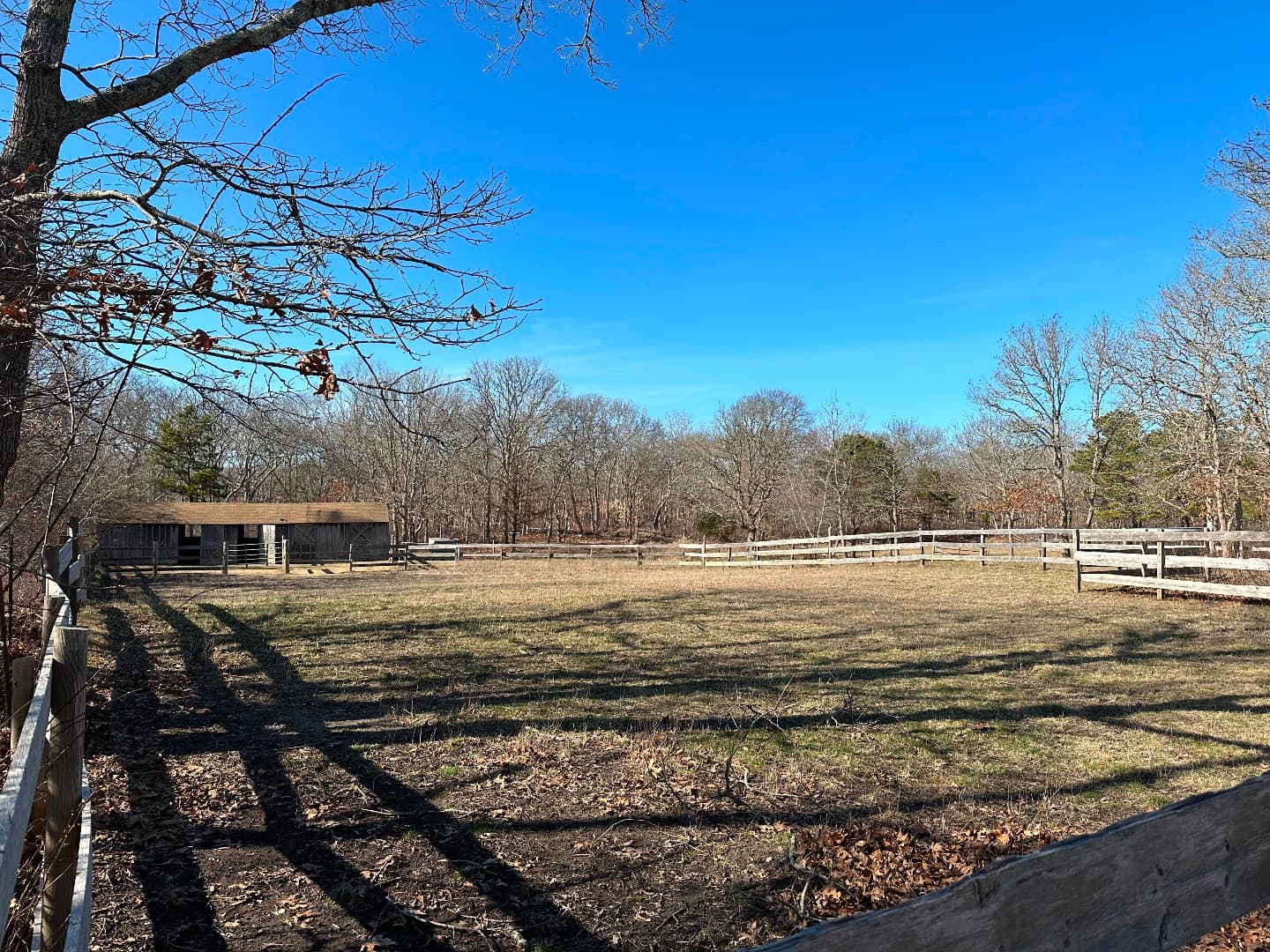 3236and40-bailey-park-road-west-tisbury-ma-02575-40527