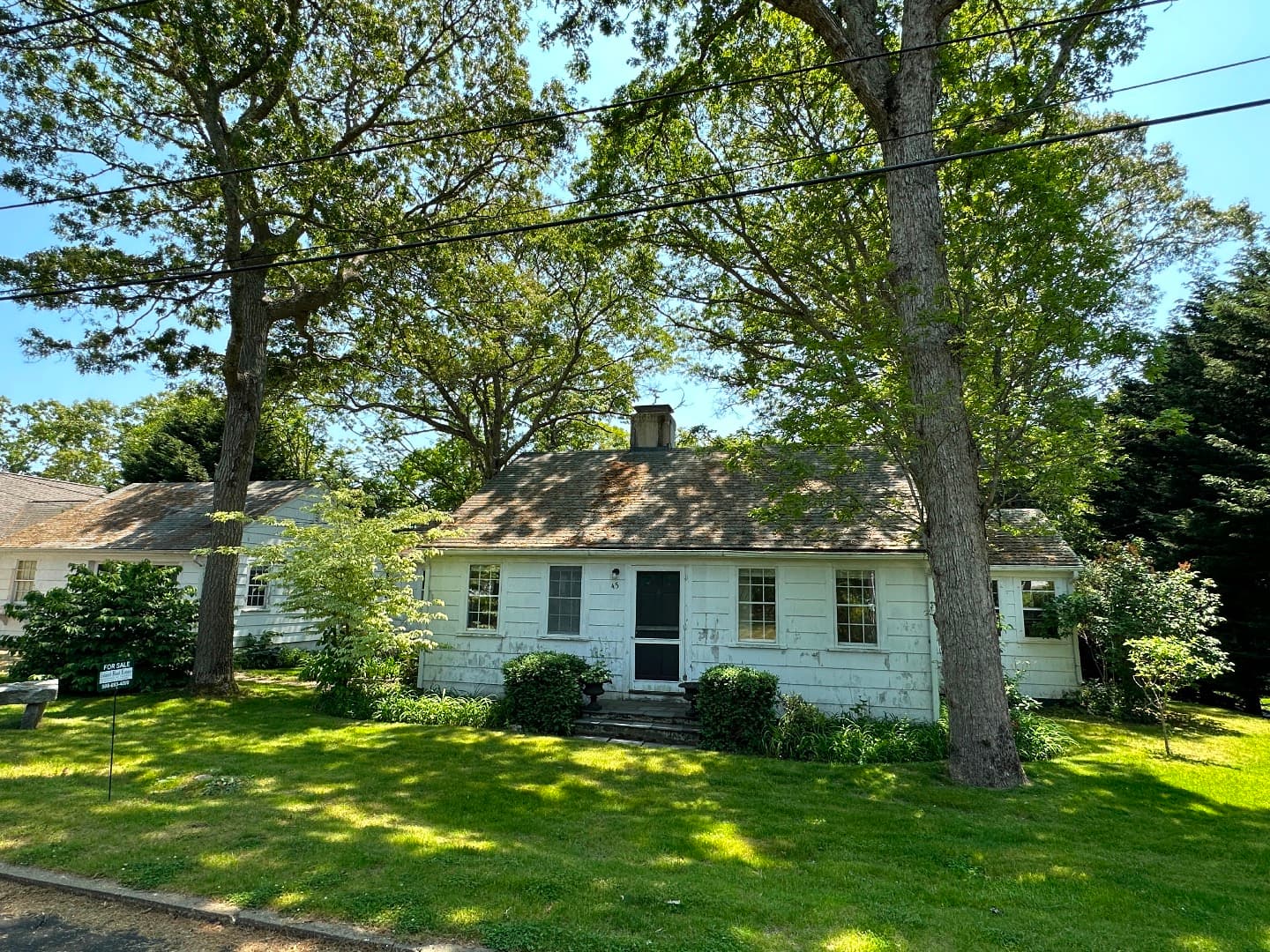 Image 1 - 45 Pine Tree Lane