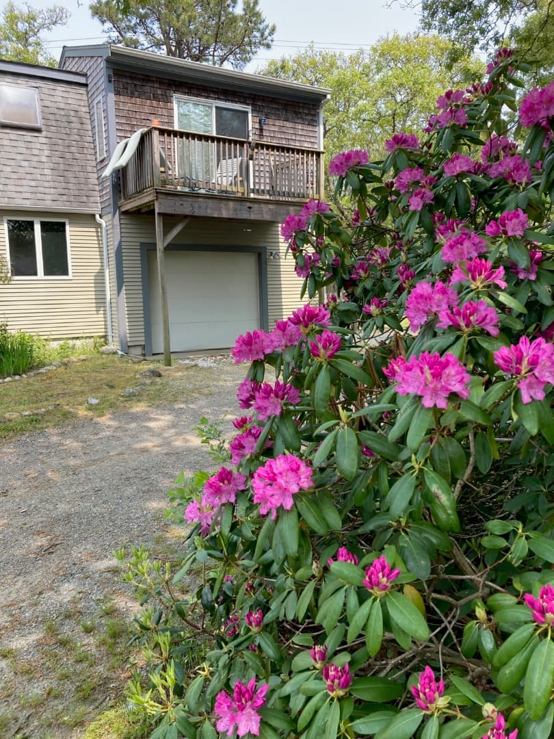 Image 3 - 3 Carole Avenue