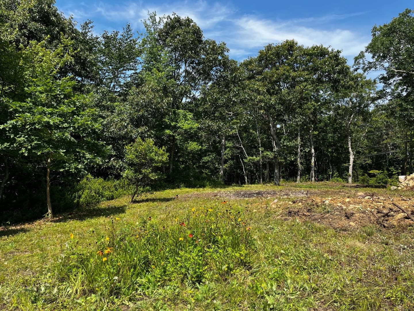 87-longview-road-west-tisbury-ma-02575-40966