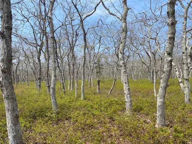 Image 3 - 7 Brown Road