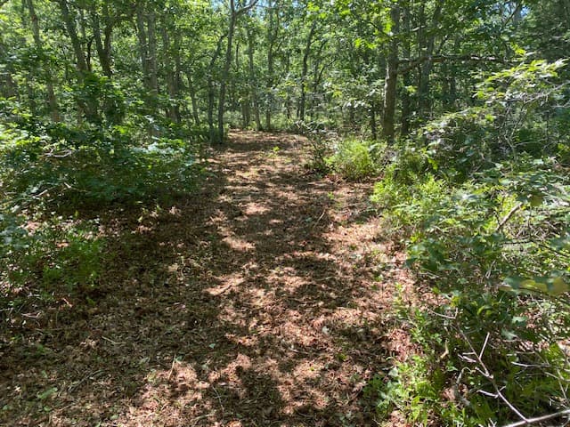 Image 2 - 5 Tori Lane
