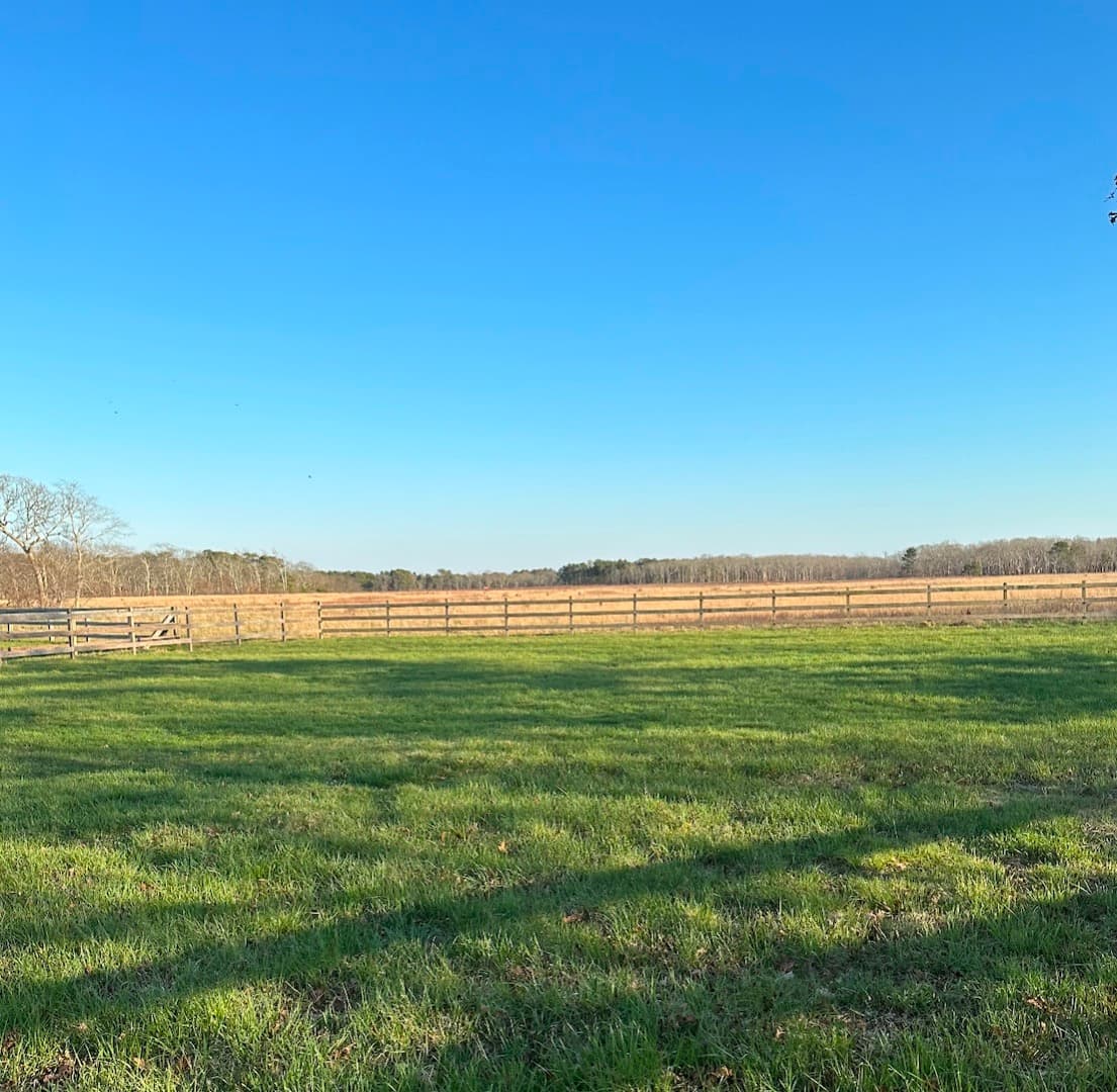 11-old-farms-trail-edgartown-ma-02539-41101