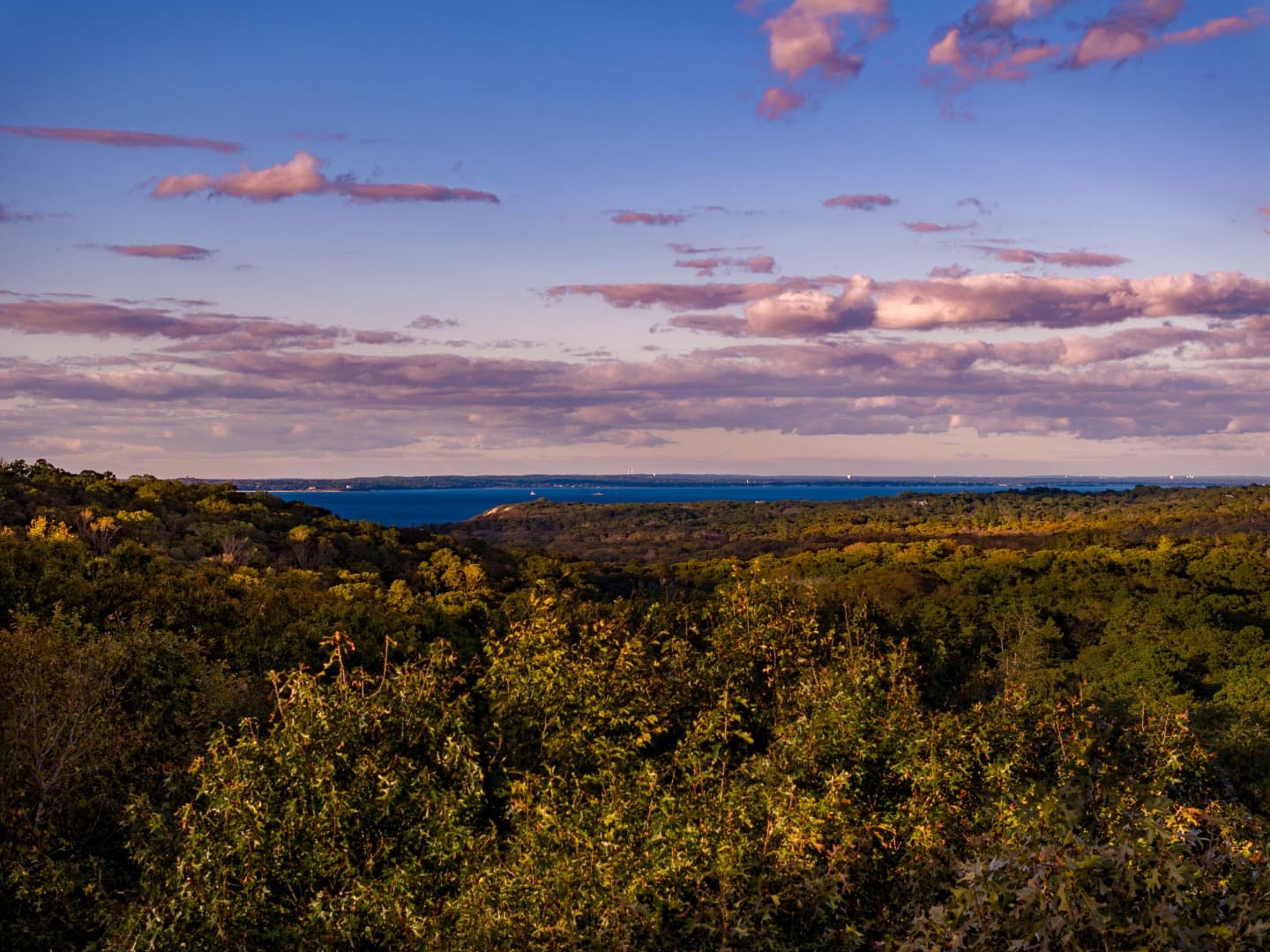 38 Fire Tower Road