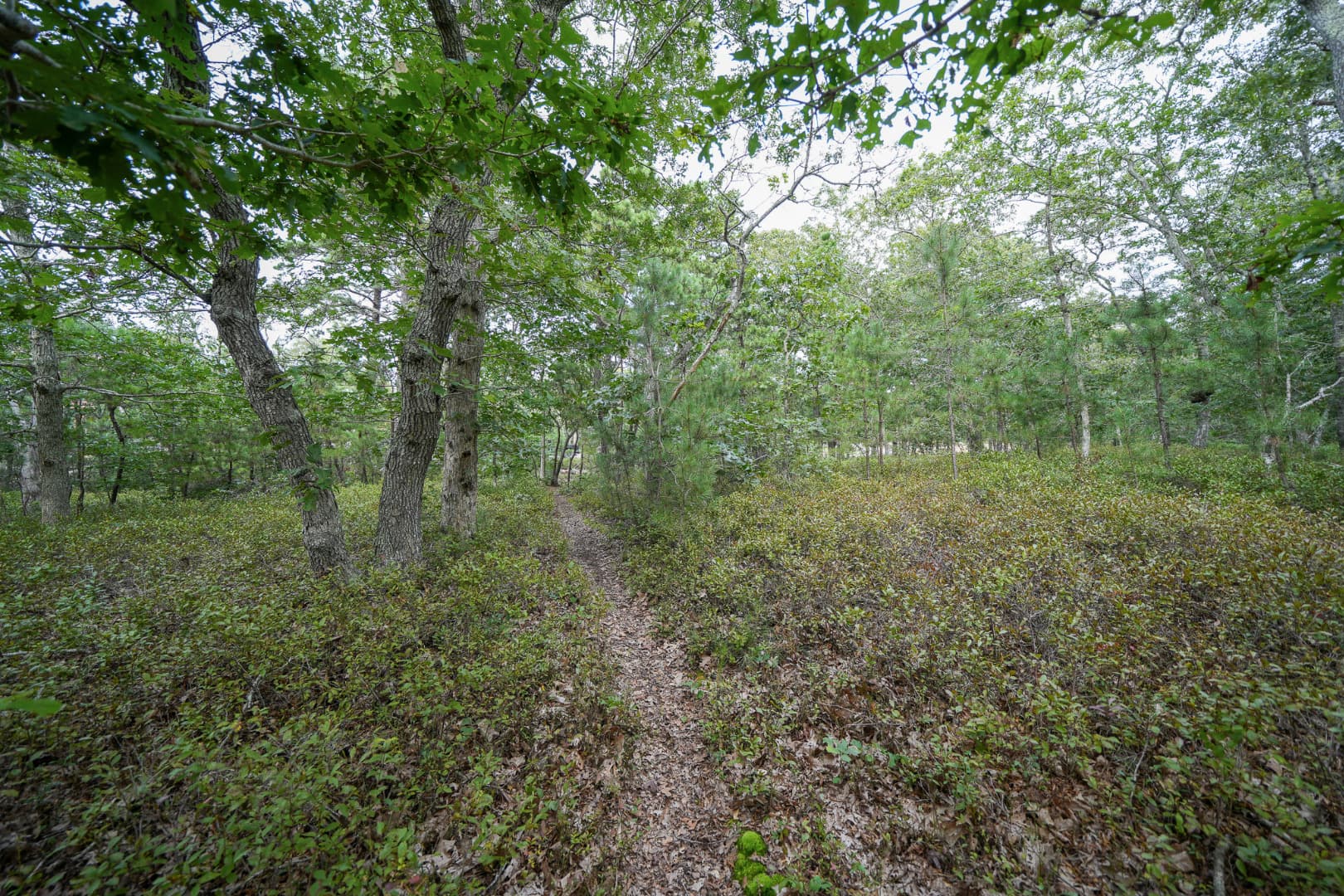 Image 2 - 35 Double Ox Road
