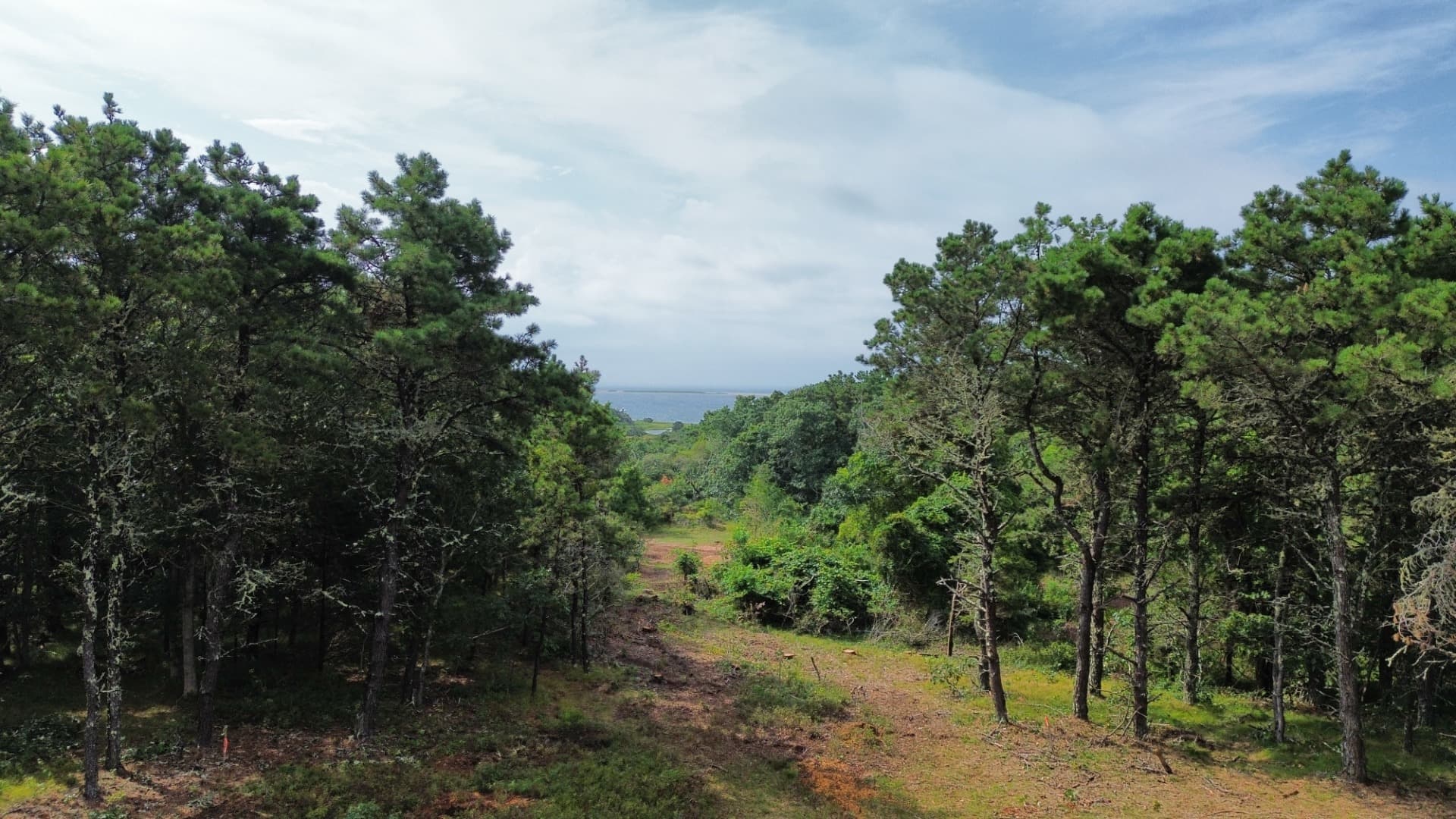 Image 3 - 2 Quammox Road