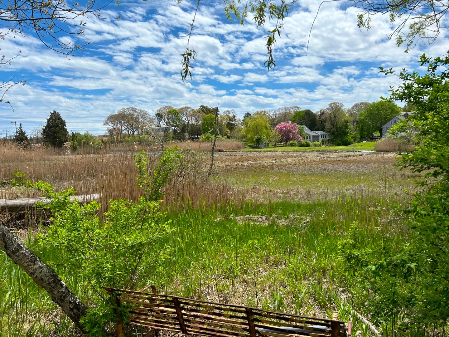 Image 2 - 66 Lagoon Pond Road