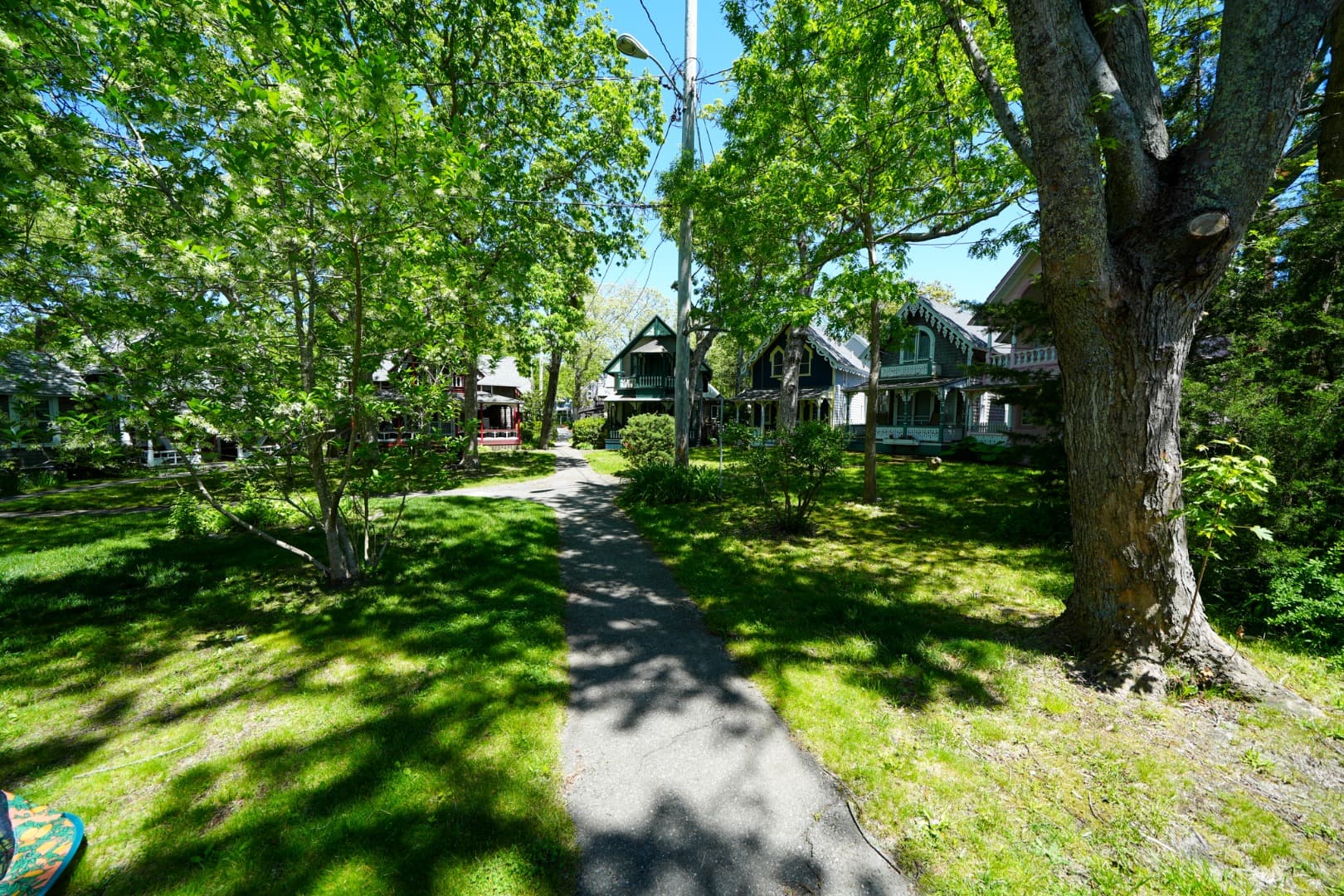Image 3 - 9 Forest Circle