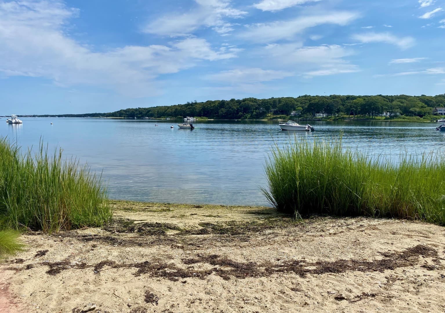 126-border-road-vineyard-haven-ma-02568-42394