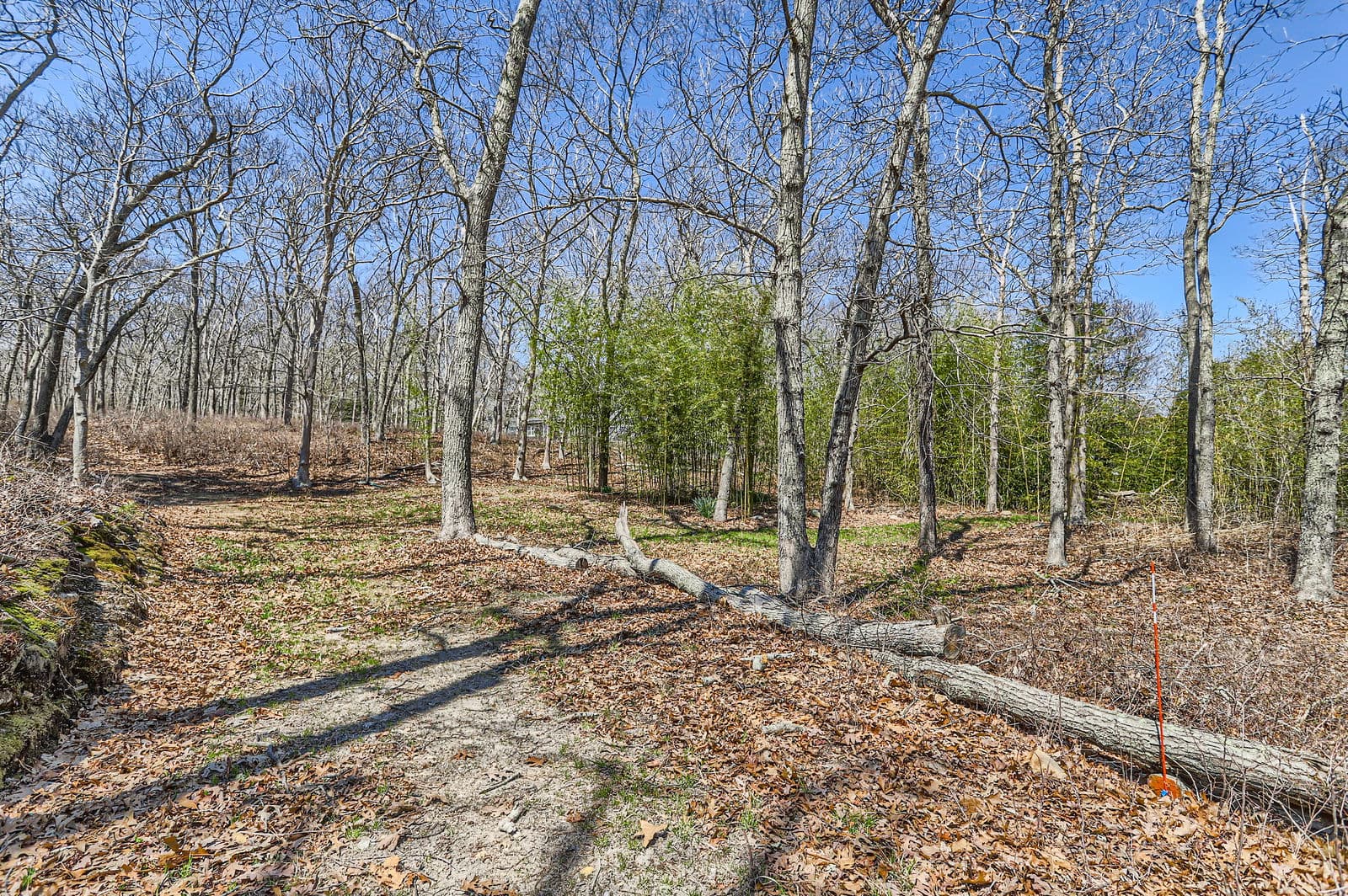 Image 2 - 0 Edgartown Vineyard Haven Road M18AL8.11