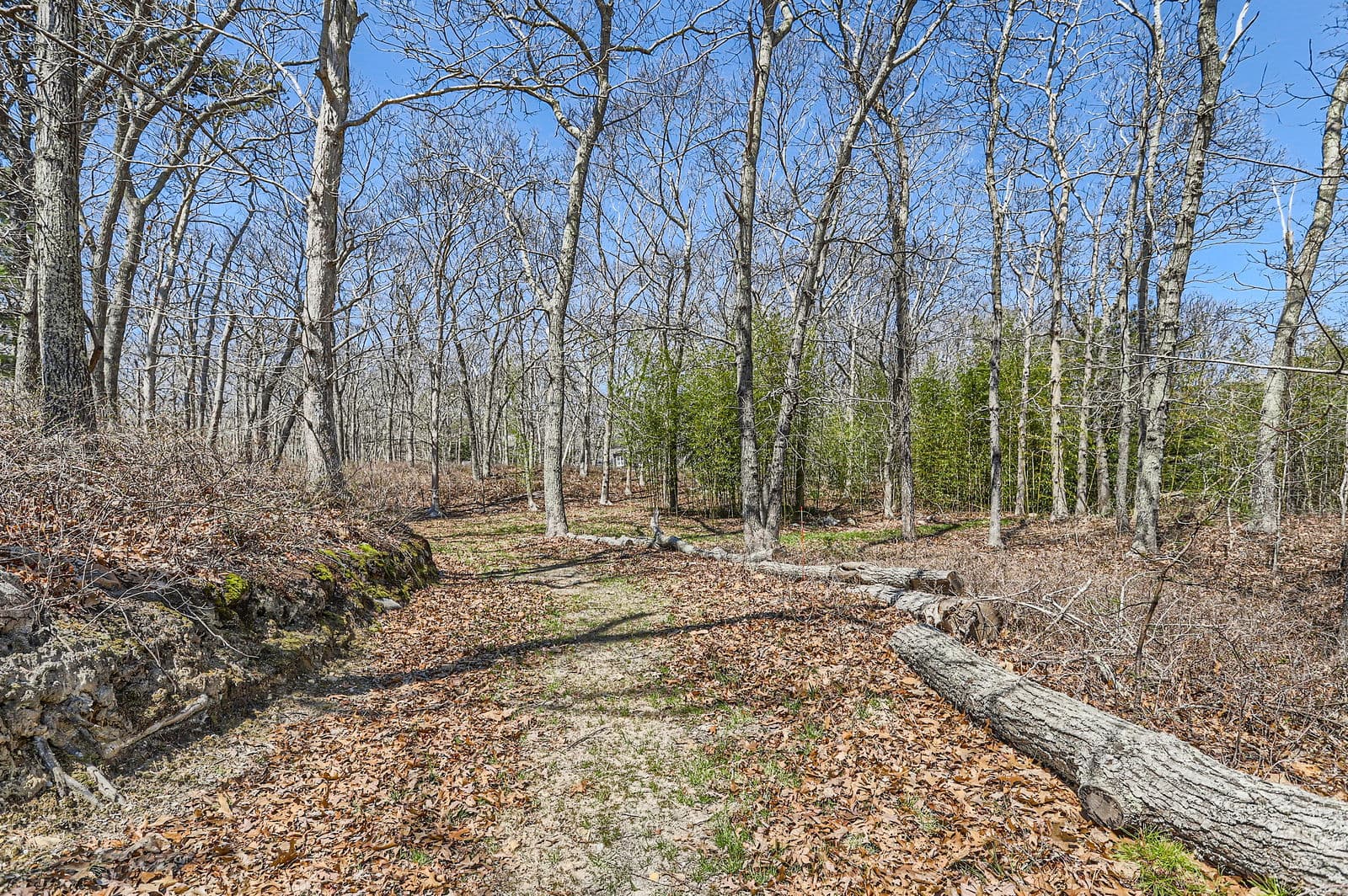 Image 3 - 0 Edgartown Vineyard Haven Road M18AL8.1