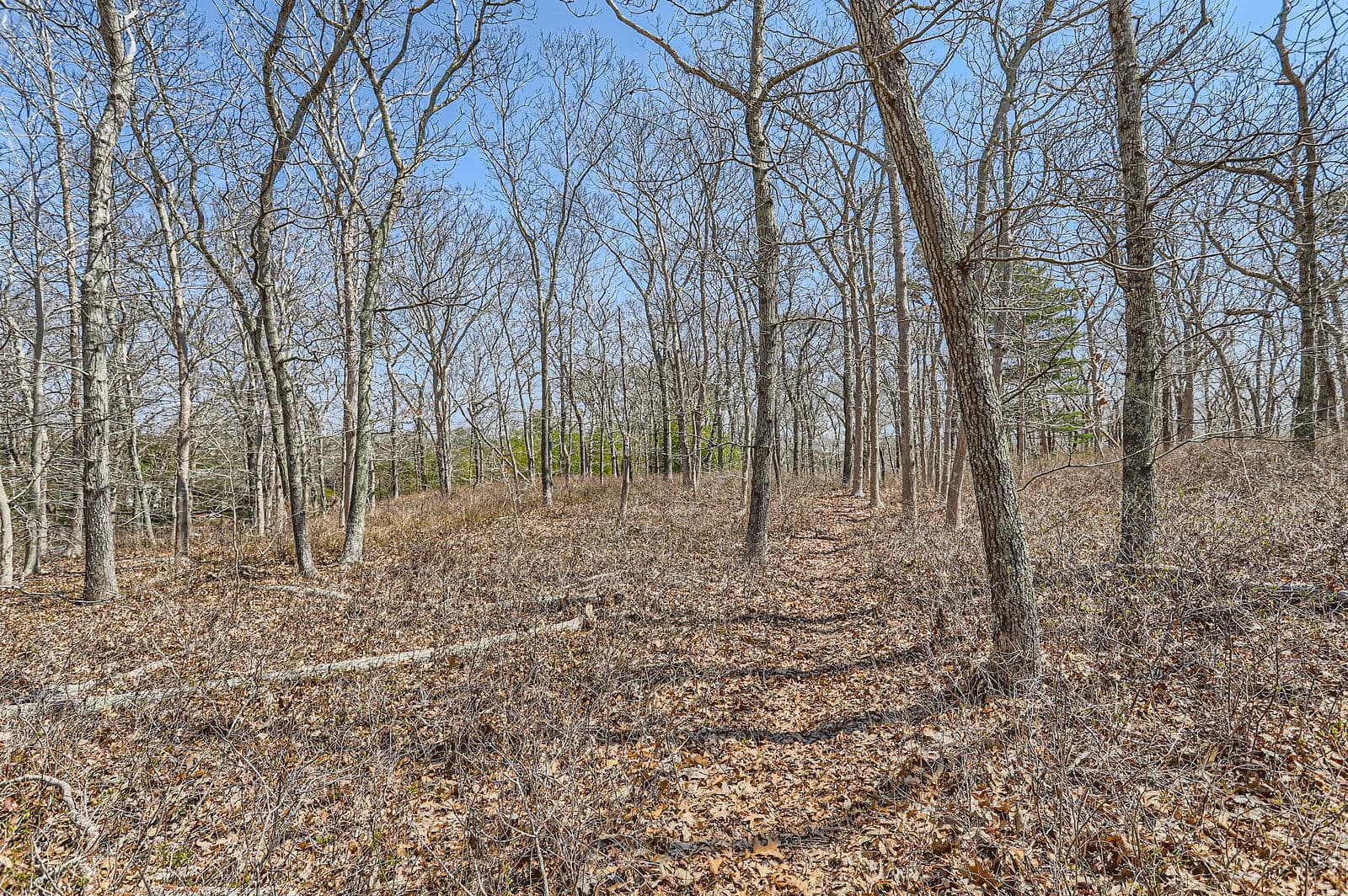 0-edgartown-vineyard-haven-road-m18al8.1-vineyard-haven-ma-02568-43182