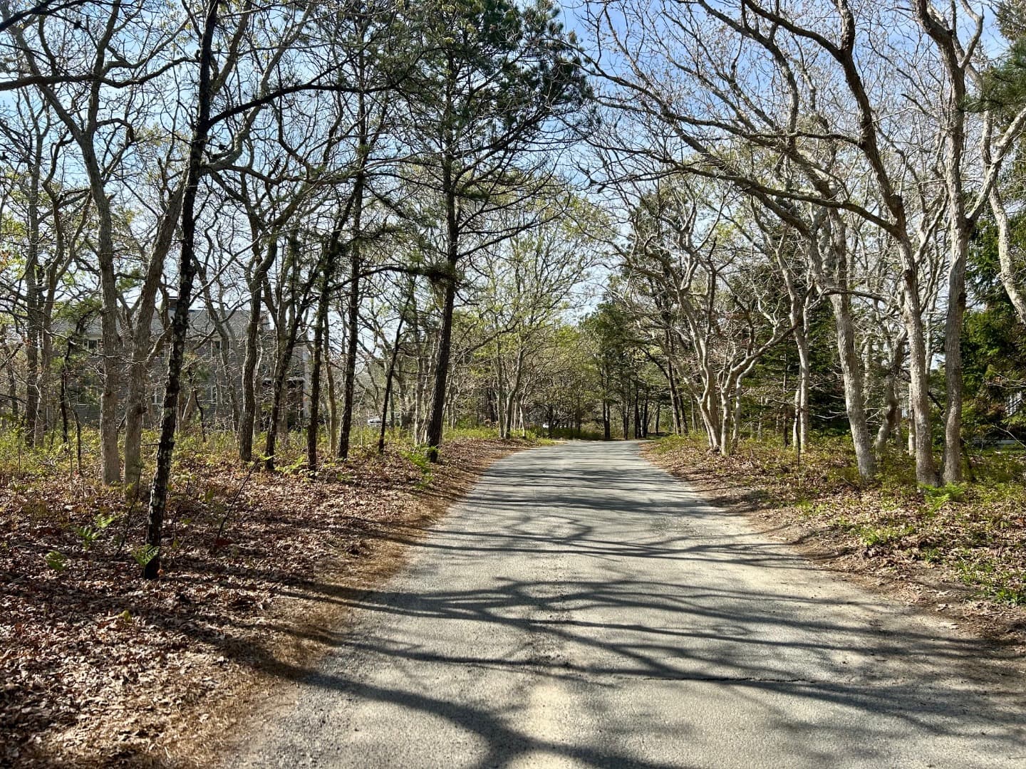 Image 2 - 11 Boylston Drive