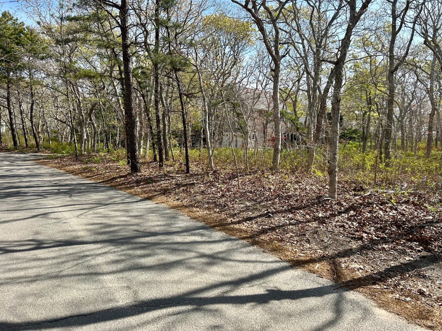 Image 1 - 11 Boylston Drive