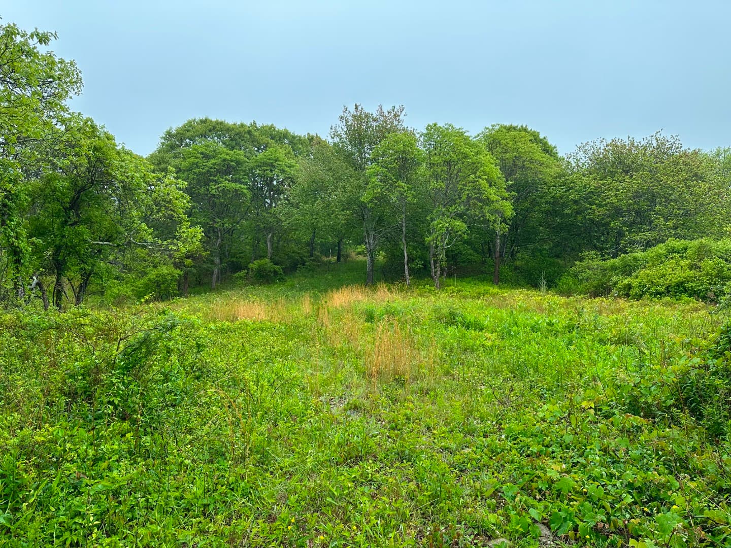 Image 1 - 0 Jeffers Lane