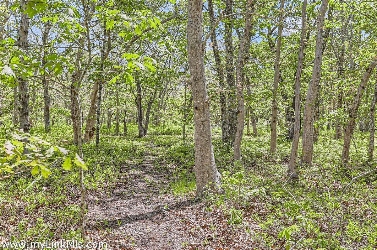 25-plum-bush-point-road-west-tisbury-ma-02575-43385