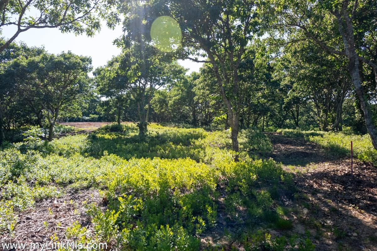 Image 2 - 4 Cedar Lane