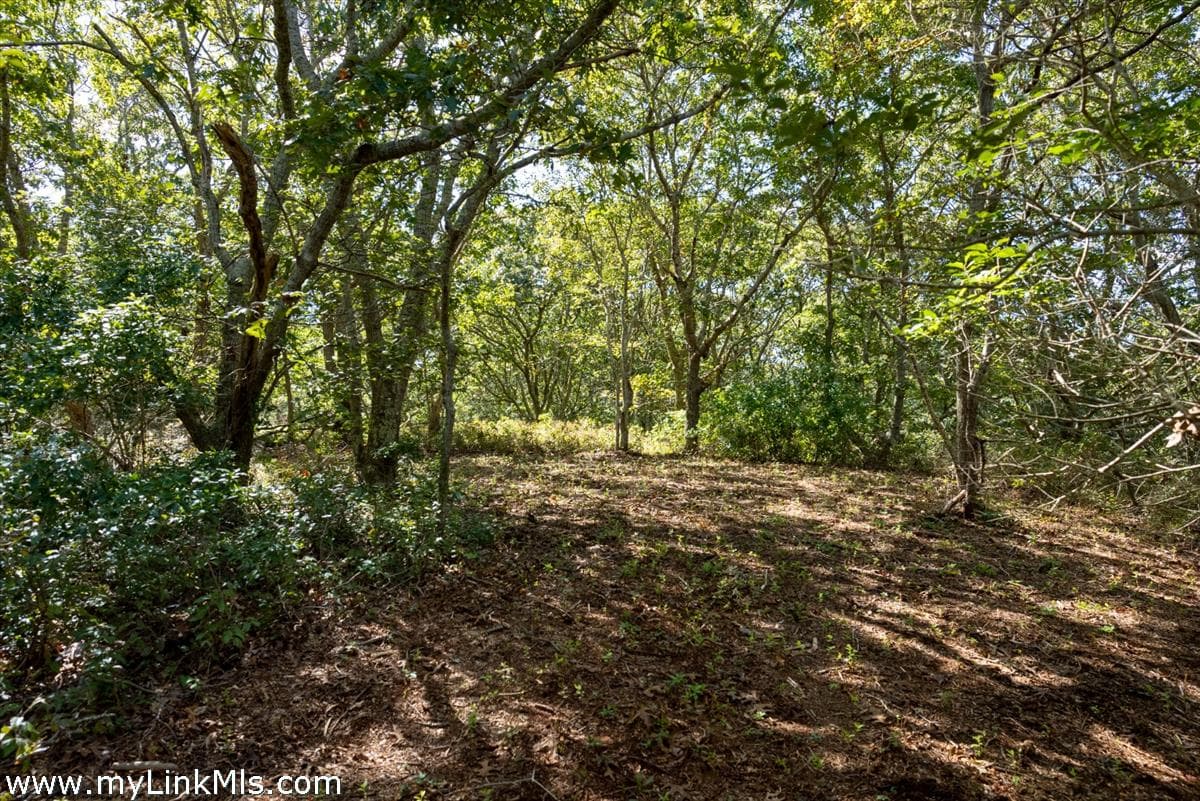 Image 3 - 4 Cedar Lane