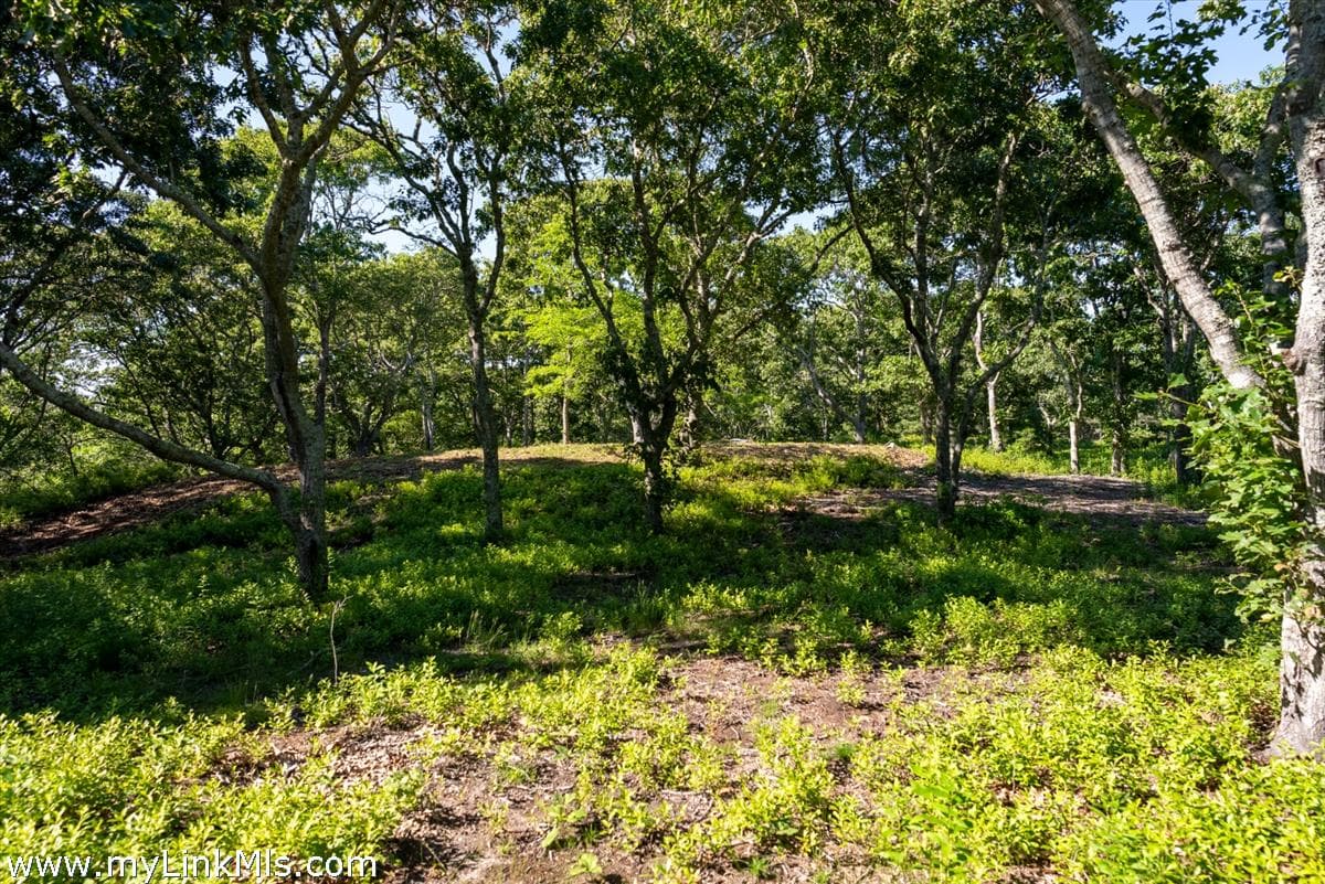 Image 1 - 4 Cedar Lane
