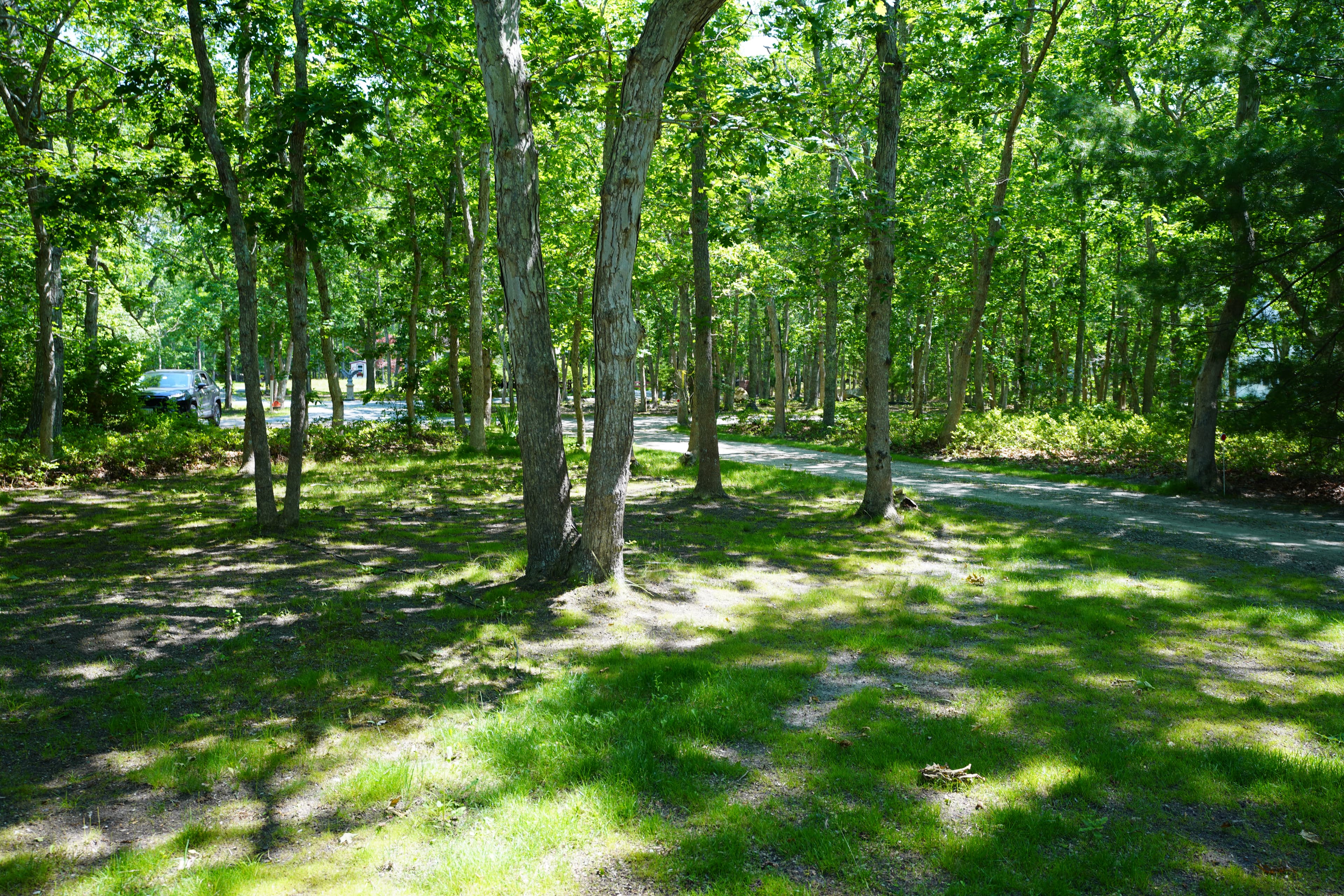 44-iron-hill-road-oak-bluffs-ma-02557-43506