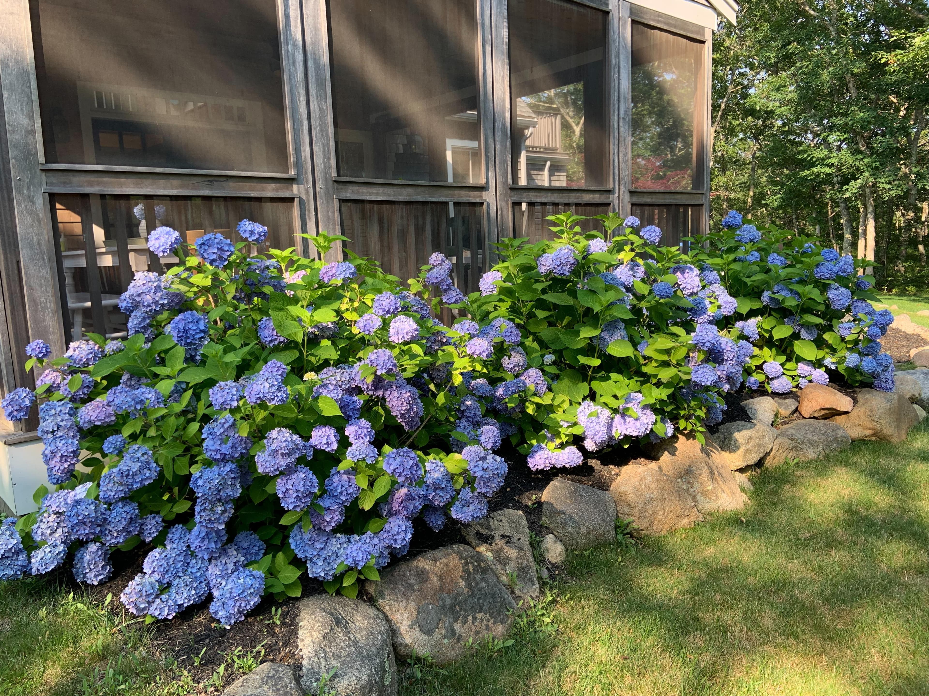 Image 3 - 3 Bedroom Rental in Oak Bluffs, Other - Sleeps 8