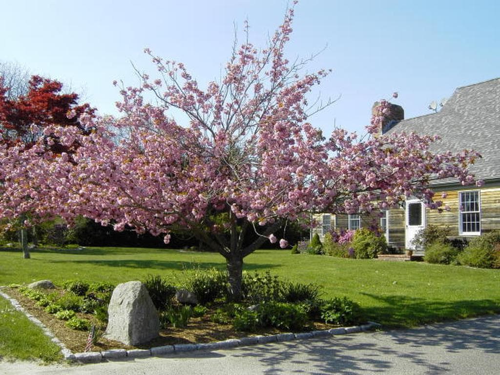 Image 1 - 3 Bedroom Rental in West Tisbury, Other - Sleeps 6