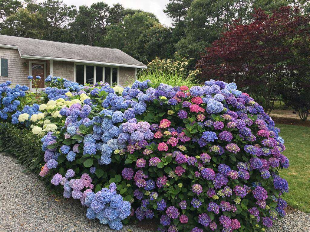 6 Mariner Circle, Edgartown