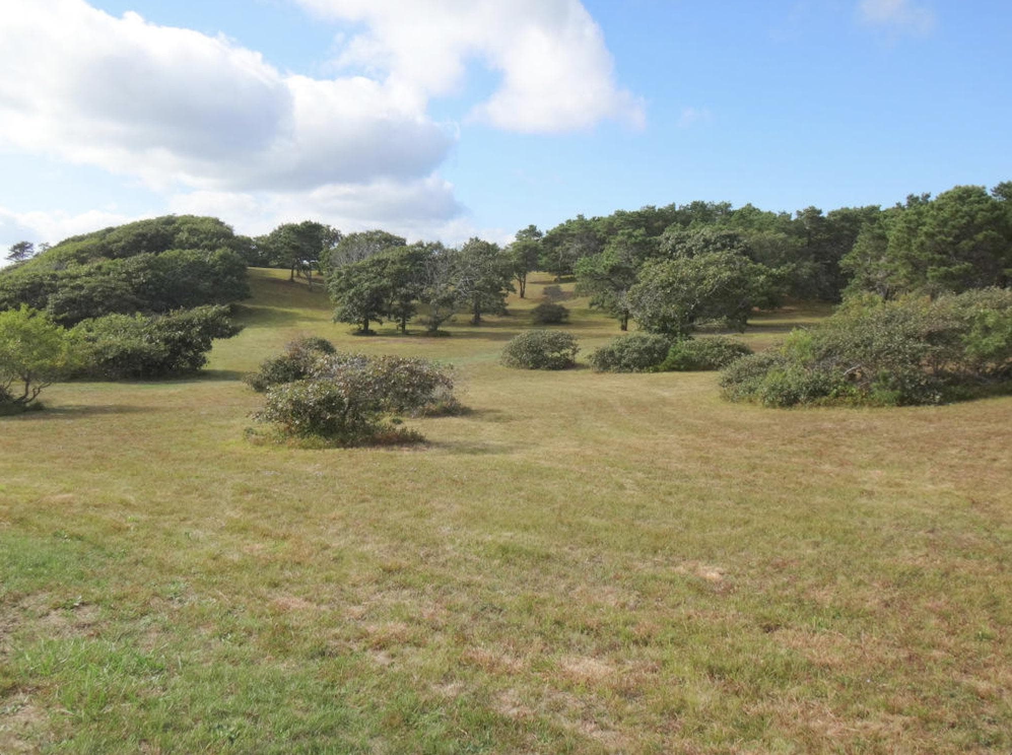 Image 3 - 10 Bedroom Rental in Edgartown, Chappaquiddick - Sleeps 18