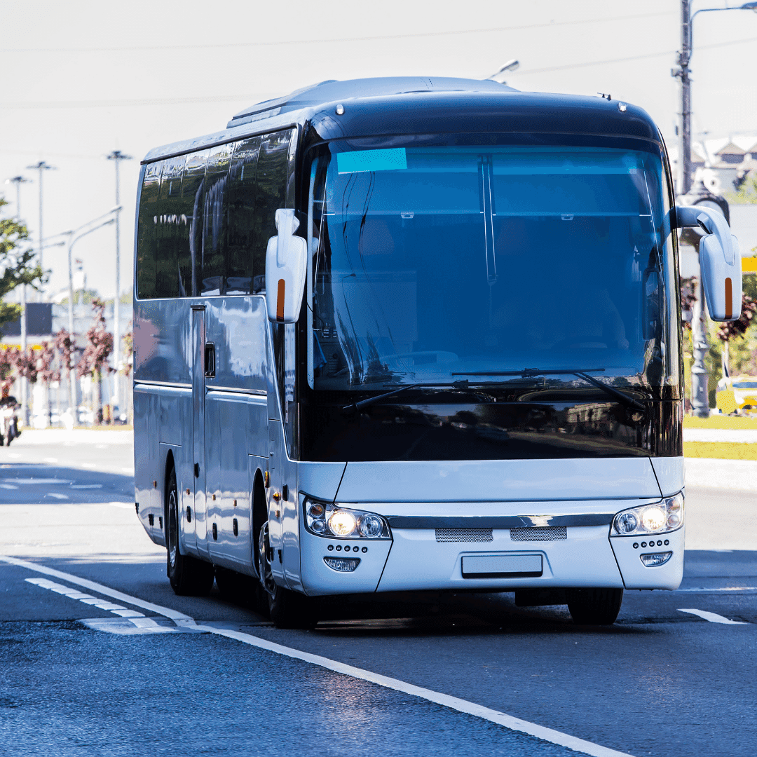 The Best Bus Services on Martha's Vineyard 