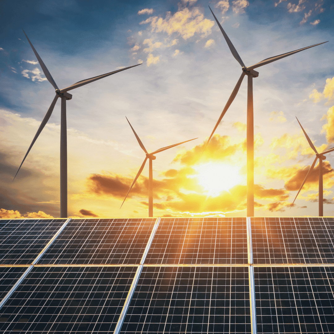 The Best Island Partners in Green Building, Organic Landscaping, Solar Architecture & Design 