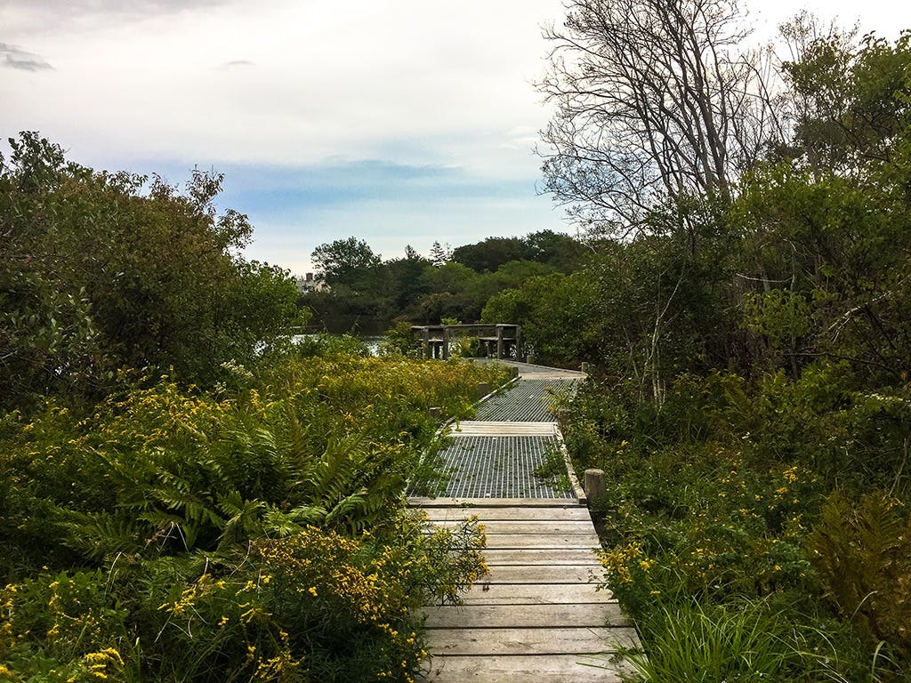 Get Outside - Top Trails to Explore on Martha’s Vineyard
